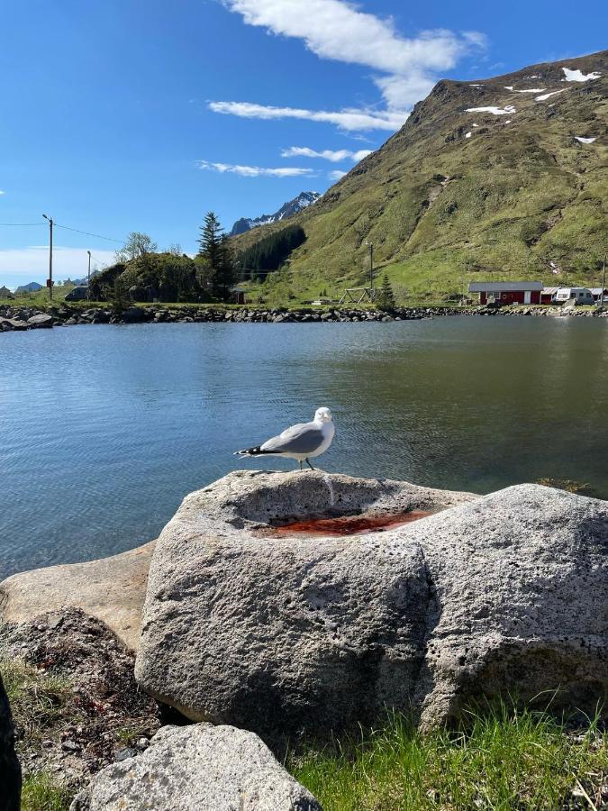 Brustranda Fjordcamping Valberg Екстер'єр фото
